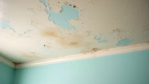 ile kosztuje malowanie sufitu po zalaniu