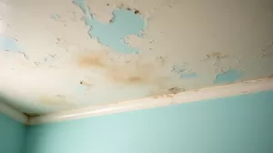 ile kosztuje malowanie sufitu po zalaniu
